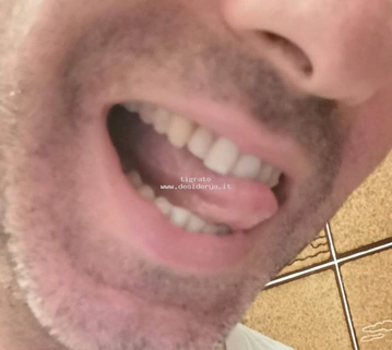 tigrato
