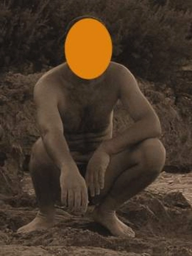 Teoria