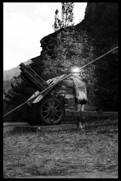 ajipicante