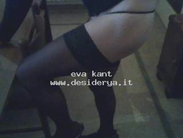 eva1kant