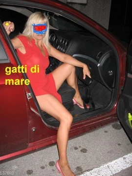 gatti1di1mare