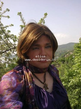 elisa162079