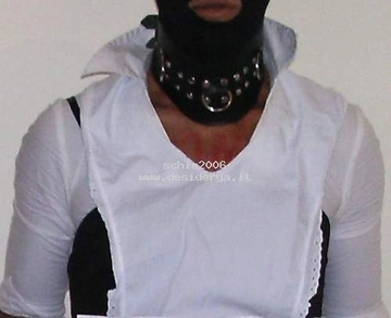 schia2006