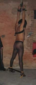 intrigo1xxx