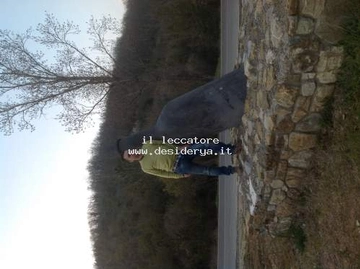 il1leccatore