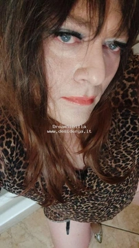 DreamSibilla