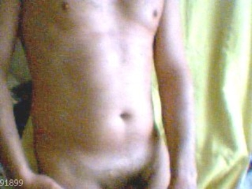 maremmanopaz