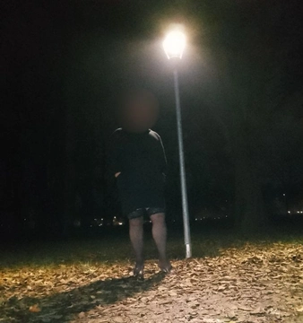Gayincollant