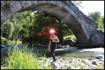 ajipicante